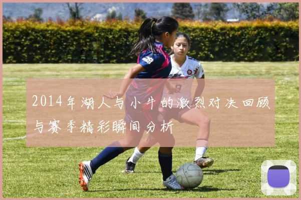 2014年湖人与小牛的激烈对决回顾与赛季精彩瞬间分析