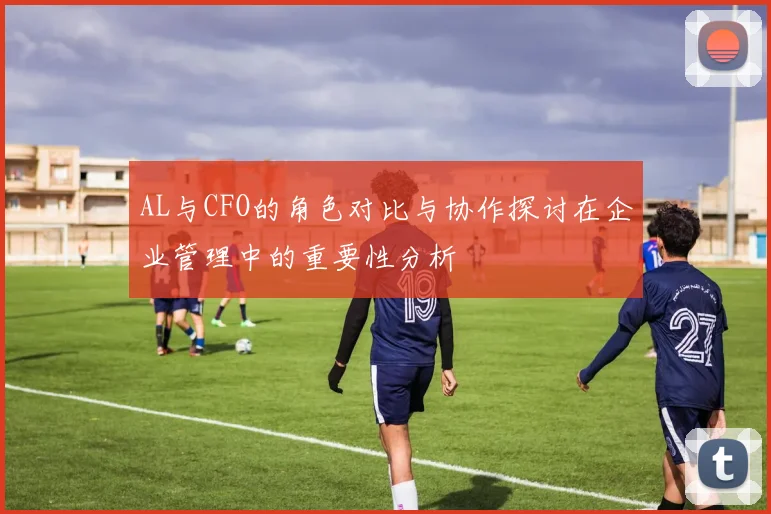 AL与CFO的角色对比与协作探讨在企业管理中的重要性分析