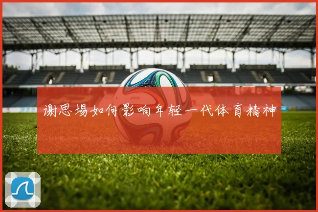 谢思埸如何影响年轻一代体育精神