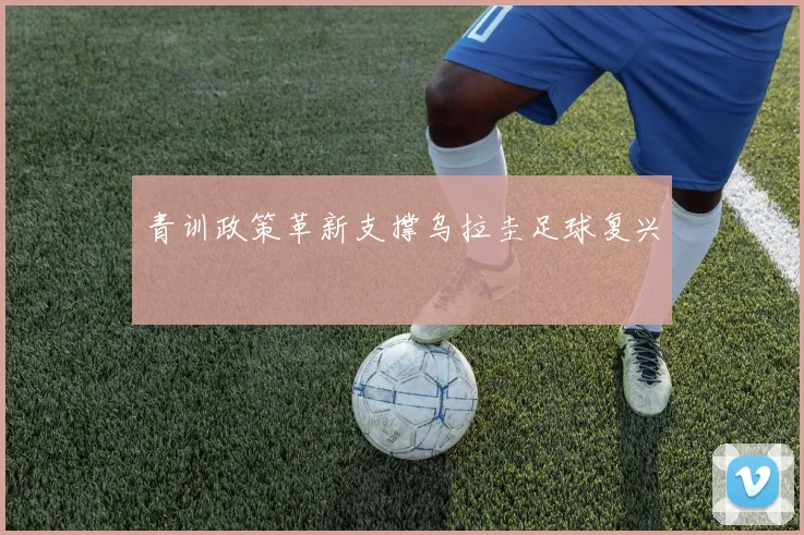 青训政策革新支撑乌拉圭足球复兴