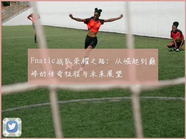 Fnatic战队荣耀之路：从崛起到巅峰的传奇征程与未来展望
